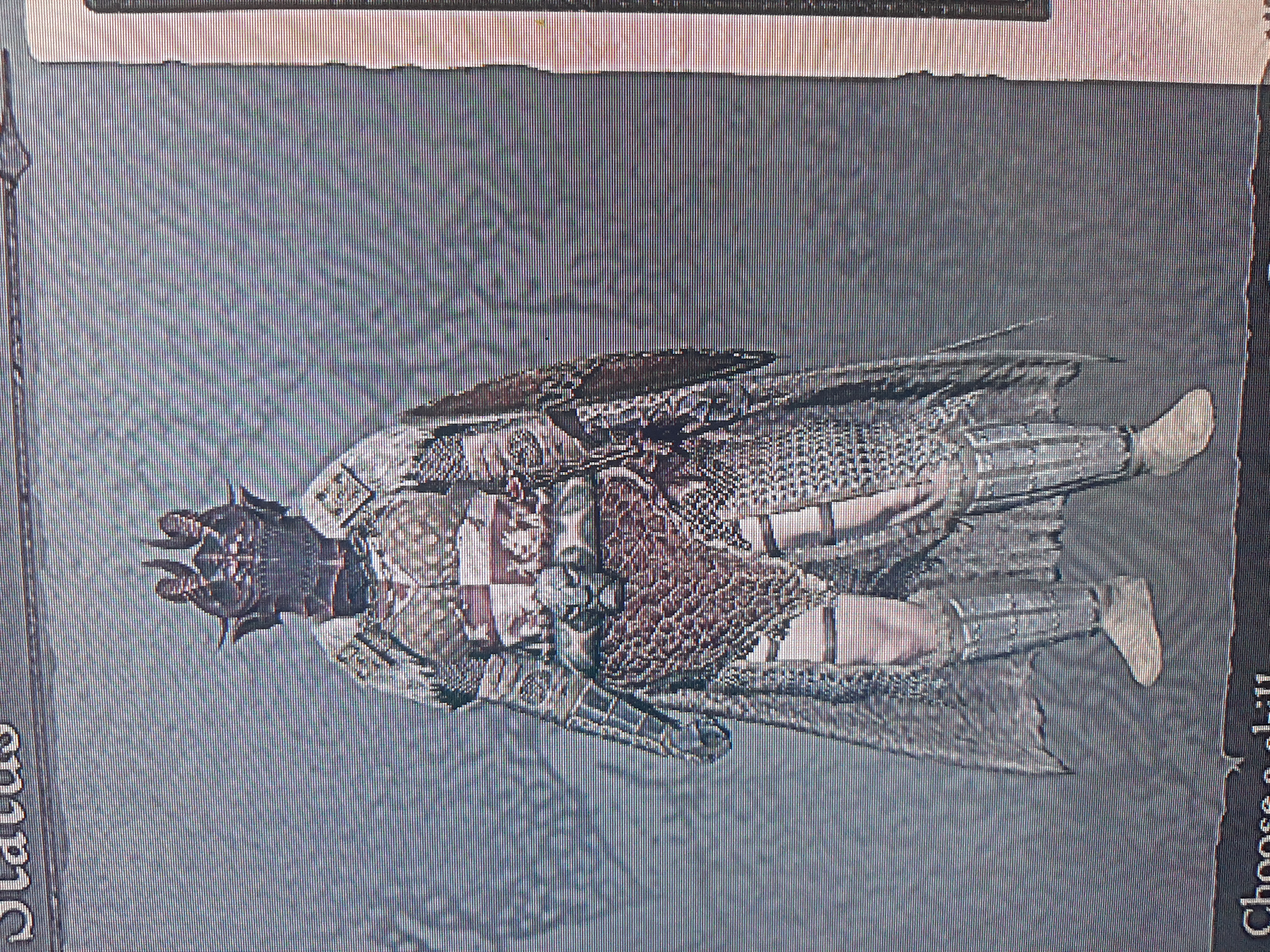 Pawn Greedaln