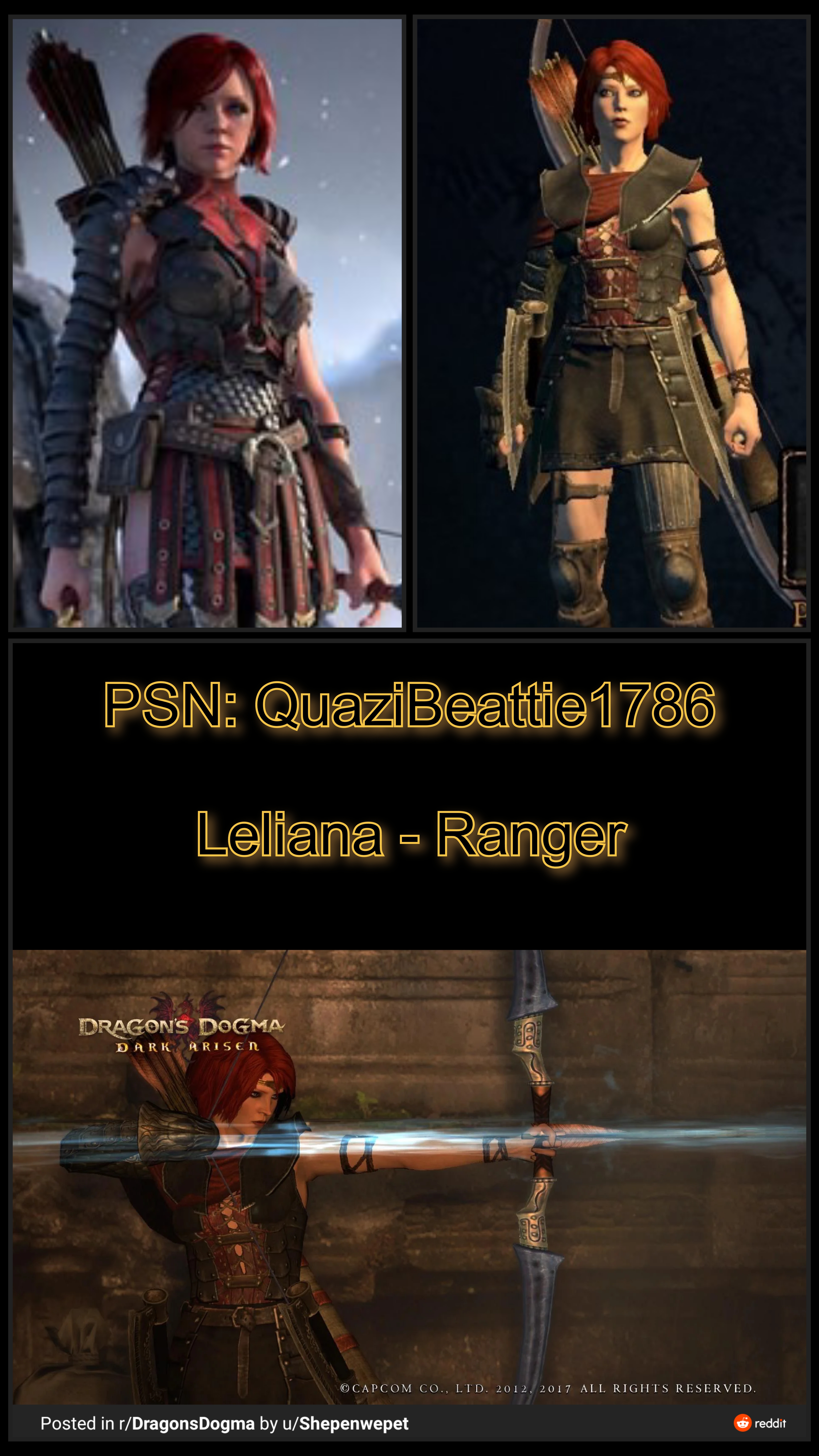 Pawn Leliana